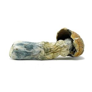 jumbobluemeanieoct20 1.jpg