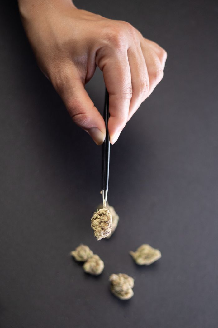 Hand using tweezers to pick up cannabis buds on a matte black background.
